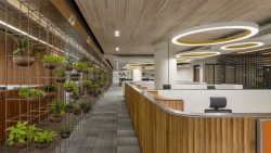 Modern Office Design – How Do You Decorate a Modern Office?