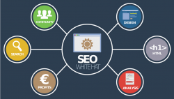 Benefits of Local SEO Services in Houston