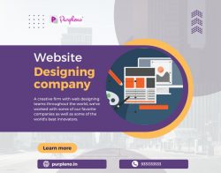 Dynamic Website Designing Company in kolkata