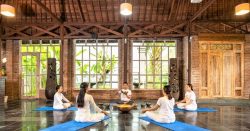 Yoga Teacher Training in Bali