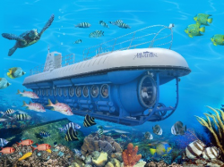 WHAT IS THE DIFFERENCE BETWEEN THE SUBMARINE DAY TOUR & THE NIGHT TOUR? – Atlantis Sub ...