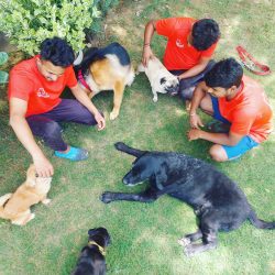 Dog grooming centre in gurgaon