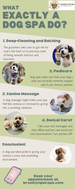 Keep Your Pet Tidy & Healthy With Pet Spa Service in Brooklyn