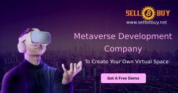 Metaverse Development in 3D spaces