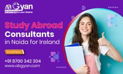 Everything to know about Studying BBA in Ireland