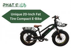 Unique 20-Inch Fat Tire Compact E-Bike | Phat-eGo