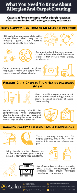 What You Need To Know About Allergies And Carpet Cleaning