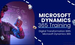 How Can Microsoft Dynamics Marketing Boost Email Campaign ROI?