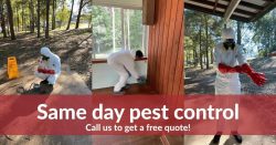 Best Pest Control Melbourne | True Pest Control