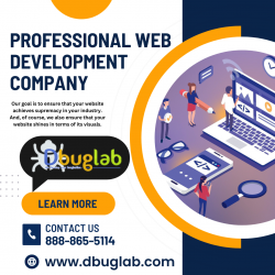 Professional Web Development Company – Dbug Lab