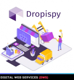 Identify Your Competitors with Dropispy Tool