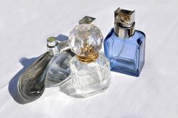 An Exploration of Fragrances through Perfume Samples