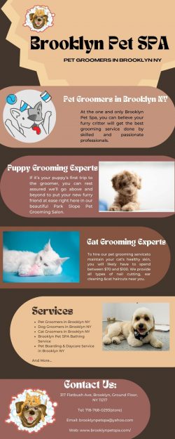 Hire Professional Pet Groomers Services in Brooklyn NY