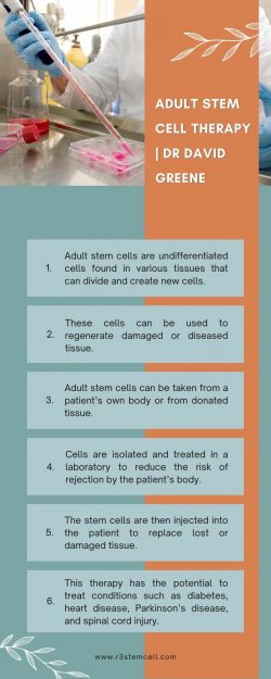 An Introduction to Adult Stem Cell Therapy | Dr David Greene