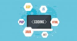 What is the difference between Full-Stack Developer and Dot NET Developer?