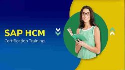 Why Do Companies Choose SAP HCM?