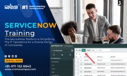 What Are The Basics Of ServiceNow?