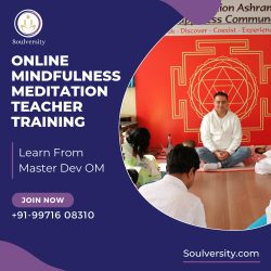 Soulversity Certified Meditation Teacher Training/Retreat