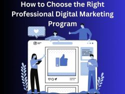 How to Choose the Right Professional Digital Marketing Program