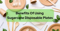 Sugarcane Disposable Plates