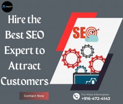 Hire the Best SEO Expert to Attract Customers