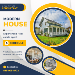 Professional Real Estate Agent