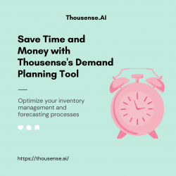 Save Time and Money with Thousense’s Demand Planning Tool