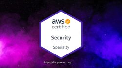 SCS-C01 examination dumps supportive information