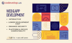 Web & App development