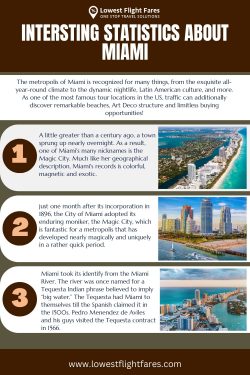 Intersting Statistics About Miami