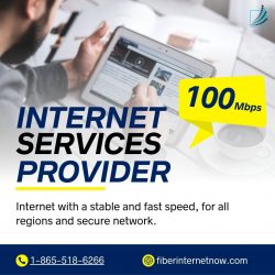 Fiber Internet Now: The Best Internet Provider in San Jose