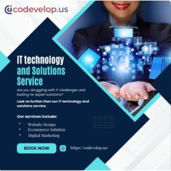 It technology and solution services