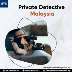 Common Myths And Facts About Hiring Private Investigators To Know