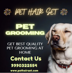 Expert Pet Grooming Services | Dog Haircuts at Home by Pet Hair Set