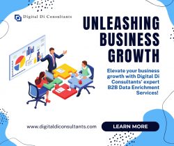 Unleashing Business Growth with B2B Data Enrichment Services