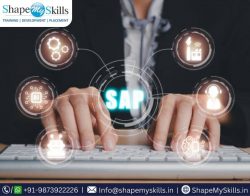 Best SAP Course in Noida at ShapeMySkills