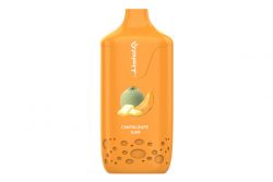 VPFIT Wholesale Vape Rechargeable and disposable vape pen — VPFIT Vape Flexbar Disposable  ...