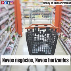Novos negócios, novos horizontes-Sidney De Queiroz Pedrosa