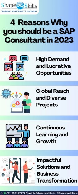 4 Reasons Why you should be an SAP Consultant in 2023