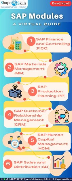 SAP Modules- a virtual guide at ShapeMySkills