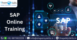 Best SAP Training Institute in Noida at ShapeMySkills