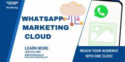 Whatsapp Markitng Cloud – WS Blasting