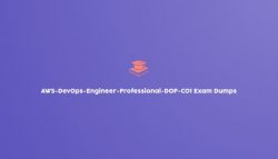 The Best Way to Prepare for the AWS-DevOps-Engineer-Professional-DOP-C01 Exam