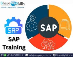 Best Career in SAP Training in Noida at ShapeMySkills