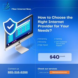 How to Choose the Right Internet Provider for Your Needs?