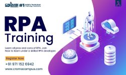 Which RPA Tool Should You Use: Blue Prism vs UiPath