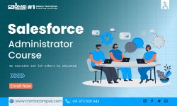 Roles & Responsibilities of a Salesforce Admin