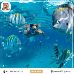 Embark on an Unforgettable Adventure with AllTrips