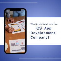 Why Should You Invest in an iOS App Development Company?