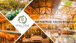 Best Restaurant In Bangalore For Family – Ultimate Family Dining Experience